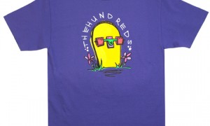 the_hundreds_2010_fall_delivery_1_02