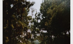 vans-california-fall-2010-lookbook02