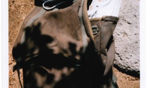 vans-california-fall-2010-lookbook13-806x1200