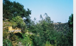 vans-california-fall-2010-lookbook15