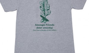 amongst_friends_2010_fall_t-shirts_19