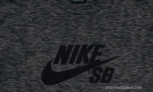 nike-sb-january-2011-apparel-accessories-02