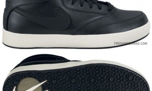 nike-sb-january-2011-sneakers-10-570x596
