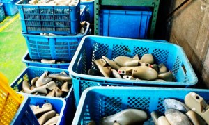 puma-made-in-japan-3