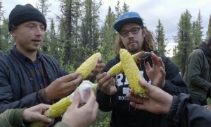 Alaska Bound and Down - DIRECTORS CUT on Vimeo_20160131220159