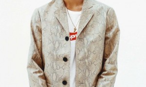 supreme-2016-spring-summer-lookbook-1