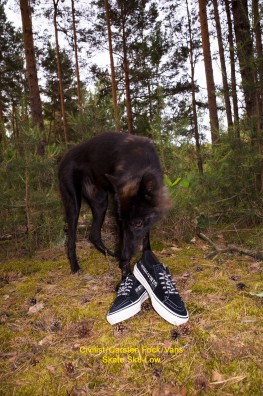 01_VANS_CIVILIST_SKATE-SK8_LOW_BLACK_BY_DANIELVAYSBERG-1